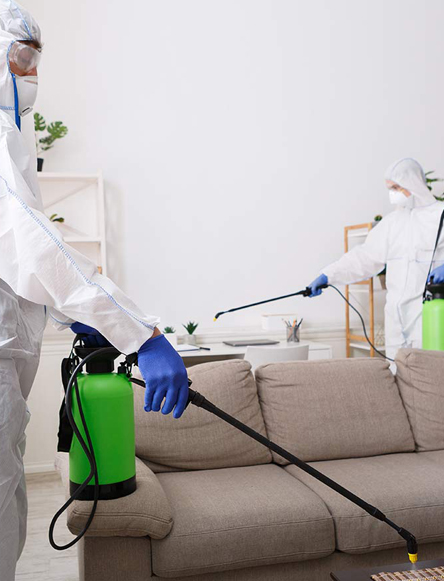 COVID cleaners London