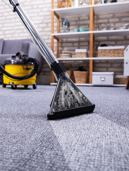 Professional Carpet Cleaners London